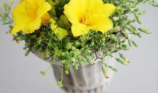 椿萱并茂是什么意思 椿萱并茂是什么意思